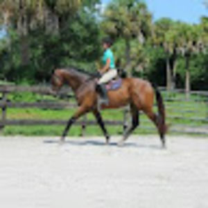 Meet your Posher, Ahnna